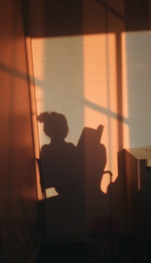 The author's shadow cast on a wall in warm evening light, reading in a chair