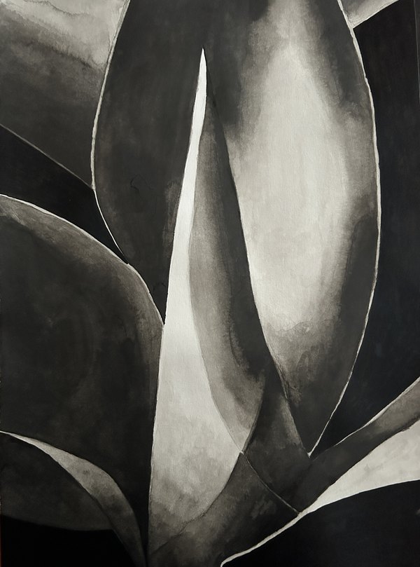 Monochrome painting of agave leaves in black, white and grey