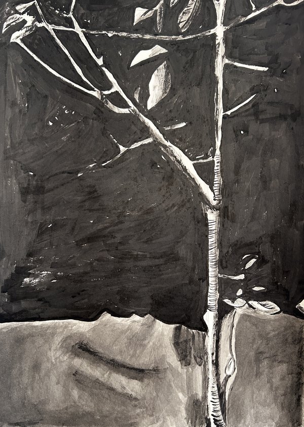 Black and white ink painting of a bare birch tree against dark ground